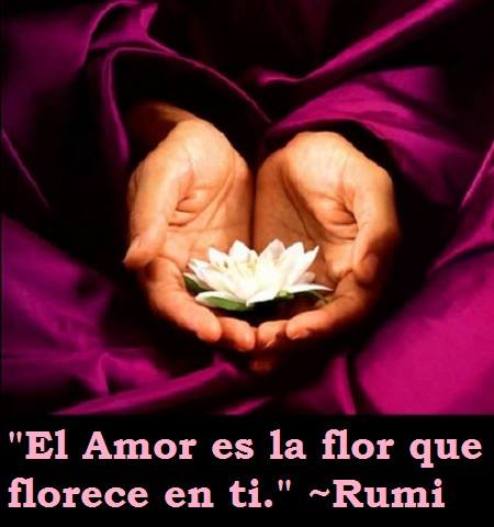flores de rumi maestri espiritualista
